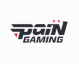 PaiN Gaming