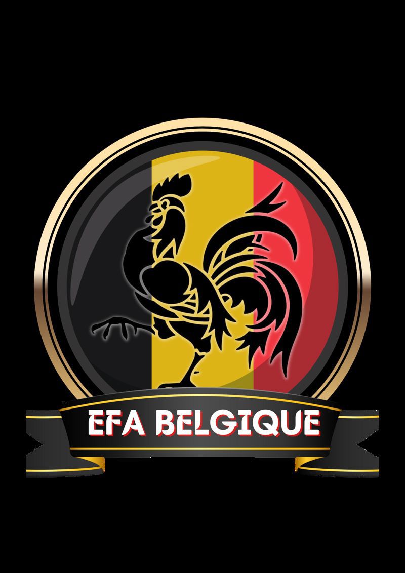 INB BELGIUM