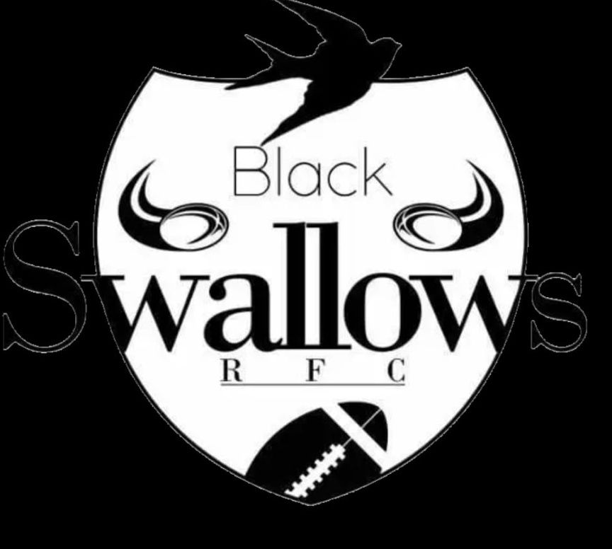 Black Swallows