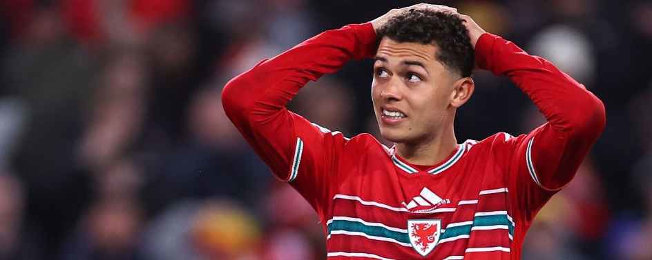 Wales went 'full gas' but paid price in failed World Cup bid